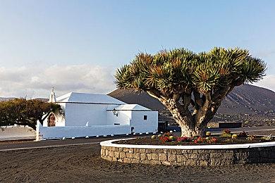 《古墓丽影》劳拉法语配音起诉发行商 使用AI侵权声音